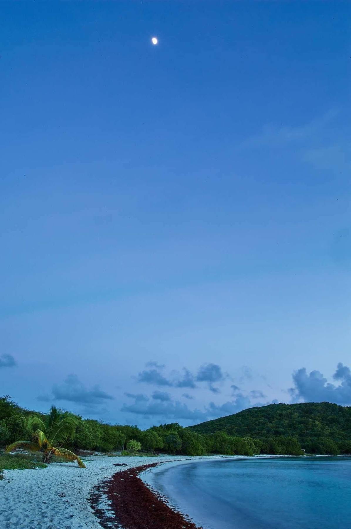 Concordia Eco Resort מראה חיצוני תמונה